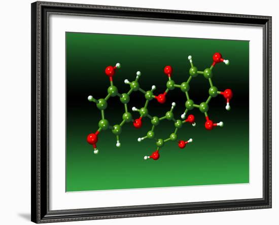 Green Tea Molecule-Dr. Mark J.-Framed Photographic Print