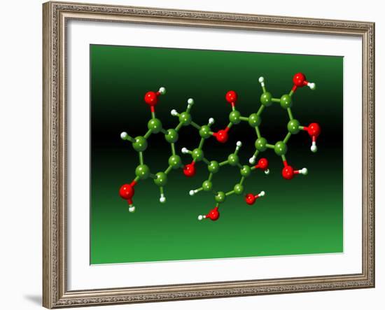 Green Tea Molecule-Dr. Mark J.-Framed Photographic Print