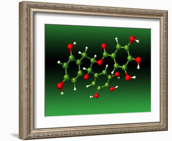 Green Tea Molecule-Dr. Mark J.-Framed Photographic Print