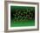 Green Tea Molecule-Dr. Mark J.-Framed Photographic Print