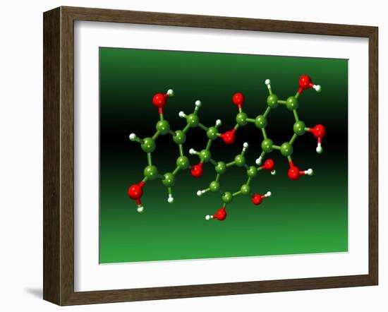 Green Tea Molecule-Dr. Mark J.-Framed Photographic Print