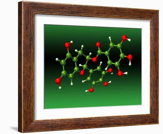 Green Tea Molecule-Dr. Mark J.-Framed Photographic Print