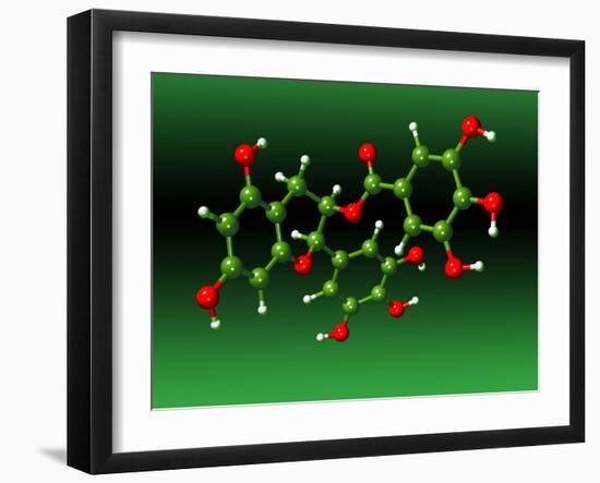 Green Tea Molecule-Dr. Mark J.-Framed Photographic Print