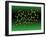 Green Tea Molecule-Dr. Mark J.-Framed Photographic Print