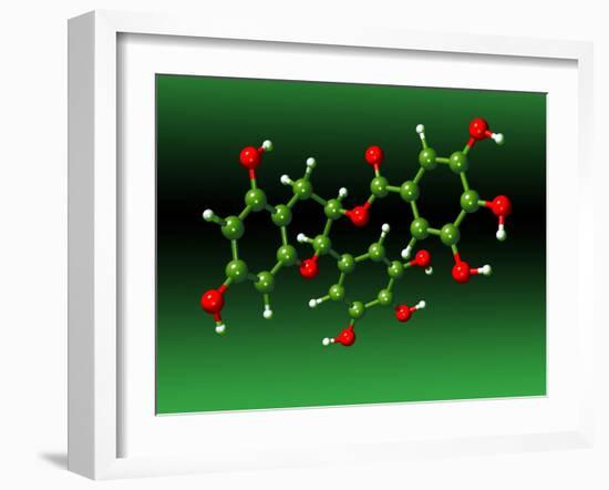 Green Tea Molecule-Dr. Mark J.-Framed Photographic Print