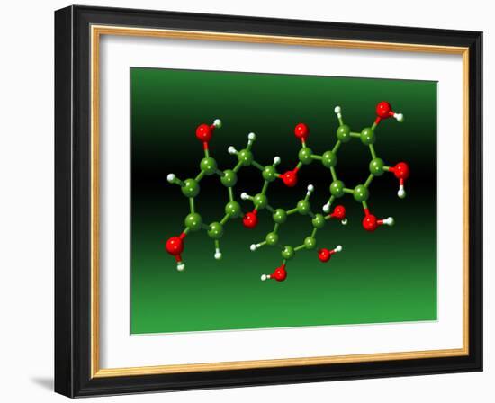 Green Tea Molecule-Dr. Mark J.-Framed Photographic Print