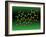 Green Tea Molecule-Dr. Mark J.-Framed Photographic Print