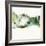 Green Terrain II-Sisa Jasper-Framed Art Print