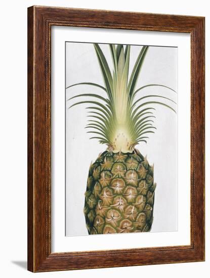 Green Things 5-Nyoman Sudarsa-Framed Giclee Print