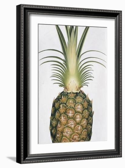 Green Things 5-Nyoman Sudarsa-Framed Giclee Print