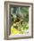 Green Throated Caribbean Hummingbird Attacking Banana Blossom, Dominica, West Indies-John Dominis-Framed Photographic Print