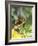 Green Throated Caribbean Hummingbird Attacking Banana Blossom, Dominica, West Indies-John Dominis-Framed Photographic Print