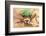 Green tiger beetle close up portrait, Birchover, Derbyshire, UK-Alex Hyde-Framed Photographic Print