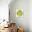 Green Tomato Slice-Steve Gadomski-Photographic Print displayed on a wall