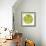 Green Tomato Slice-Steve Gadomski-Framed Photographic Print displayed on a wall