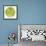 Green Tomato Slice-Steve Gadomski-Framed Photographic Print displayed on a wall