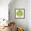 Green Tomato Slice-Steve Gadomski-Framed Photographic Print displayed on a wall