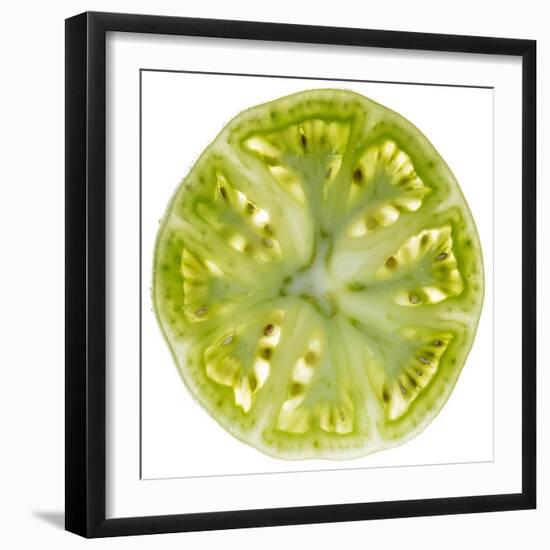 Green Tomato Slice-Steve Gadomski-Framed Photographic Print