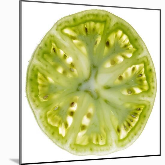 Green Tomato Slice-Steve Gadomski-Mounted Photographic Print