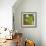 Green Touch I-Patricia Pinto-Framed Premium Giclee Print displayed on a wall