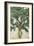 Green Tree Line III-PI Studio-Framed Art Print