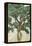 Green Tree Line III-PI Studio-Framed Stretched Canvas