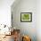 Green Tree Python-Martin Harvey-Framed Photographic Print displayed on a wall