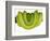 Green Tree Python-Martin Harvey-Framed Photographic Print