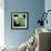 Green Tree Python-null-Framed Photographic Print displayed on a wall