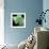 Green Tree Python-null-Framed Photographic Print displayed on a wall