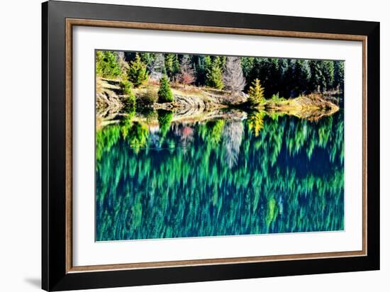 Green Trees Gold Lake Reflection Snoqualmie Pass, Washington State-William Perry-Framed Photographic Print