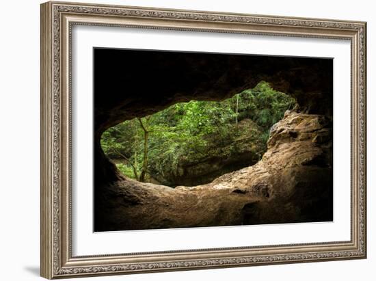 Green Trees View from the inside of the Cave-mazzzur-Framed Photographic Print