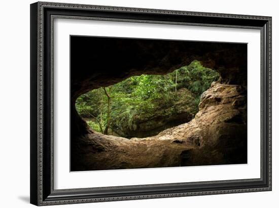 Green Trees View from the inside of the Cave-mazzzur-Framed Photographic Print