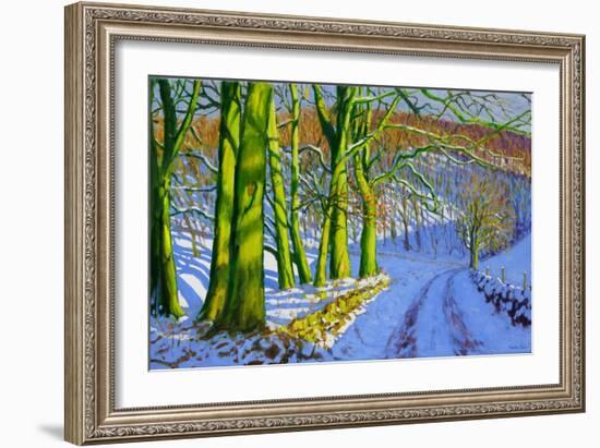 Green Trees, Winter, Dam Lane, Derbyshire-Andrew Macara-Framed Giclee Print