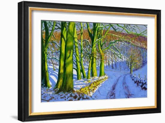 Green Trees, Winter, Dam Lane, Derbyshire-Andrew Macara-Framed Giclee Print