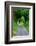 Green Trees wrap this back road in lush foliage, County Mayo, Ireland.-Betty Sederquist-Framed Photographic Print