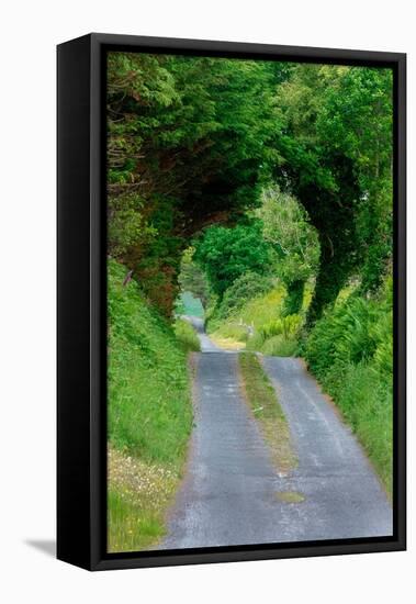 Green Trees wrap this back road in lush foliage, County Mayo, Ireland.-Betty Sederquist-Framed Premier Image Canvas