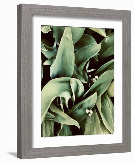 Green Tropical Background, Plant Leaves, Textures.-Ekaterina Mesilova-Framed Photographic Print