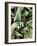 Green Tropical Background, Plant Leaves, Textures.-Ekaterina Mesilova-Framed Photographic Print