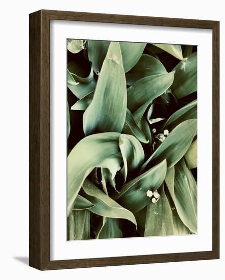 Green Tropical Background, Plant Leaves, Textures.-Ekaterina Mesilova-Framed Photographic Print