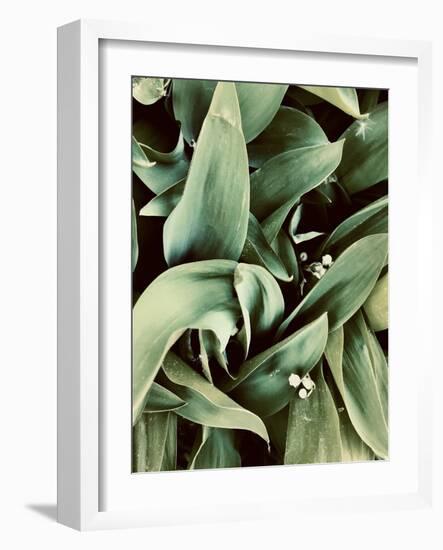 Green Tropical Background, Plant Leaves, Textures.-Ekaterina Mesilova-Framed Photographic Print