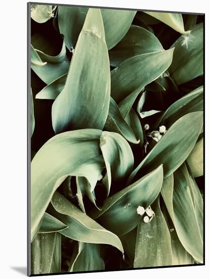 Green Tropical Background, Plant Leaves, Textures.-Ekaterina Mesilova-Mounted Photographic Print