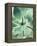 Green Tropical Succulent I-Irena Orlov-Framed Premier Image Canvas