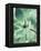 Green Tropical Succulent I-Irena Orlov-Framed Premier Image Canvas