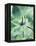 Green Tropical Succulent I-Irena Orlov-Framed Premier Image Canvas