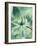 Green Tropical Succulent I-Irena Orlov-Framed Photographic Print