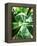 Green Tropical Succulent II-Irena Orlov-Framed Premier Image Canvas