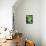 Green Tropical Succulent II-Irena Orlov-Framed Premier Image Canvas displayed on a wall