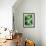 Green Tropical Succulent II-Irena Orlov-Framed Photographic Print displayed on a wall