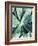 Green Tropical Succulent III-Irena Orlov-Framed Photographic Print